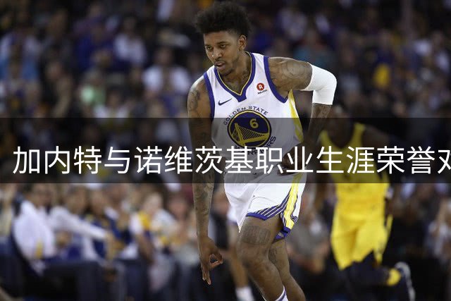 加内特与诺维茨基职业生涯荣誉对比